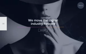 Fleava WordPress Portfolio Websites 