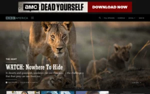 BBC America