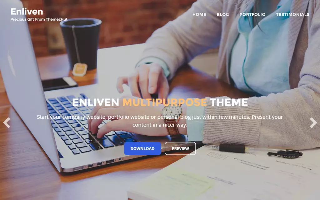 enliven wordpress theme
