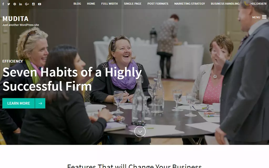 mudita wordpress theme