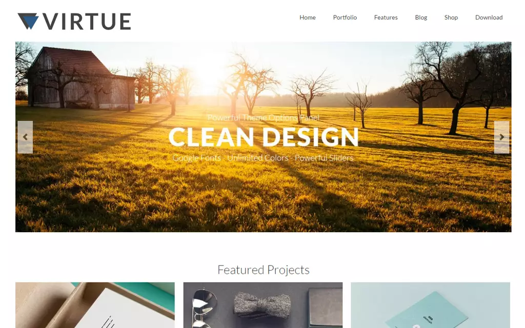 virtue wordpress theme