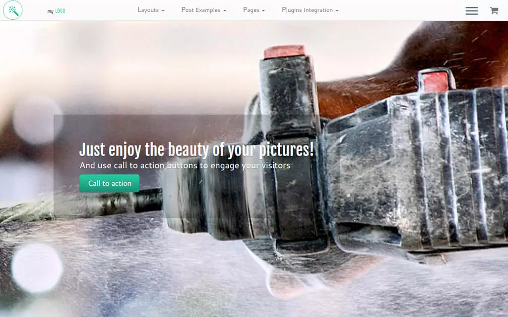 customizr wordpress theme