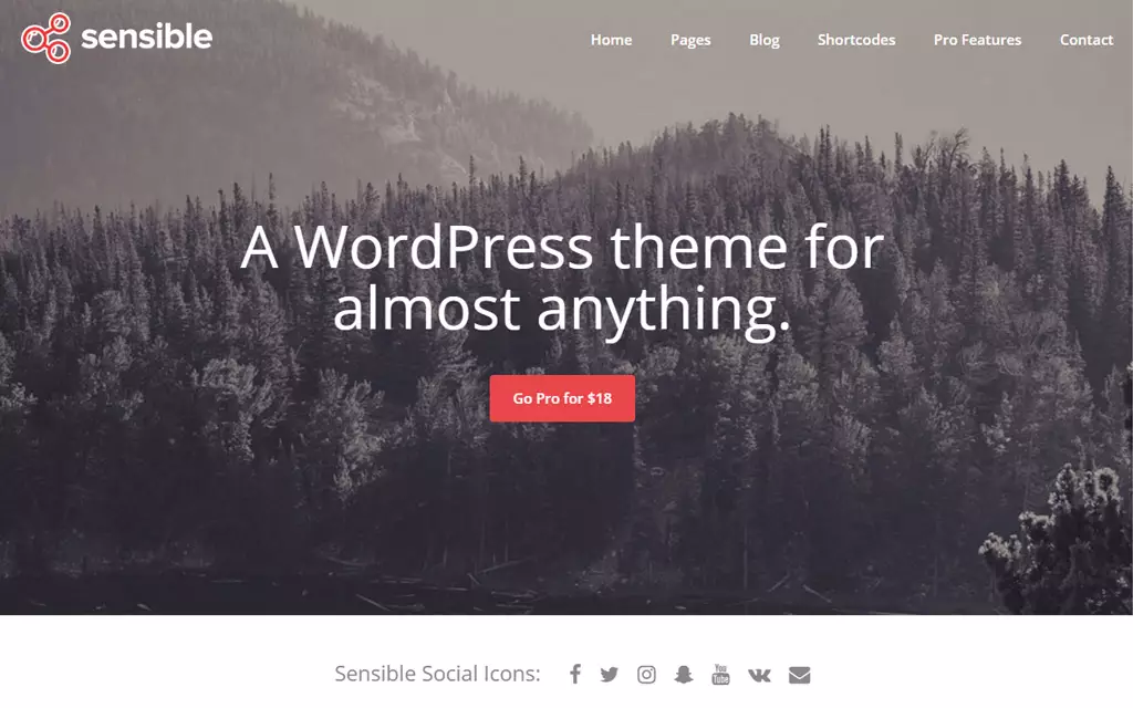 Sensible theme